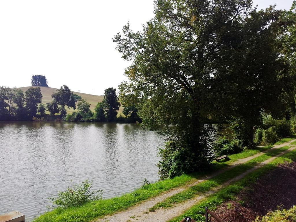 Pension Mlyn Stare Mitrovice Sedlec-Prcice エクステリア 写真